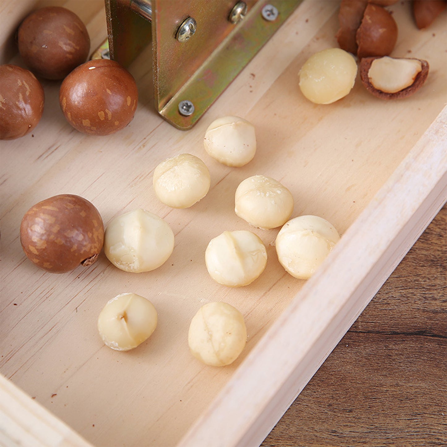 FANEASON Heavy Duty Nut Cracker with Adjustable Jaw & Wooden Base